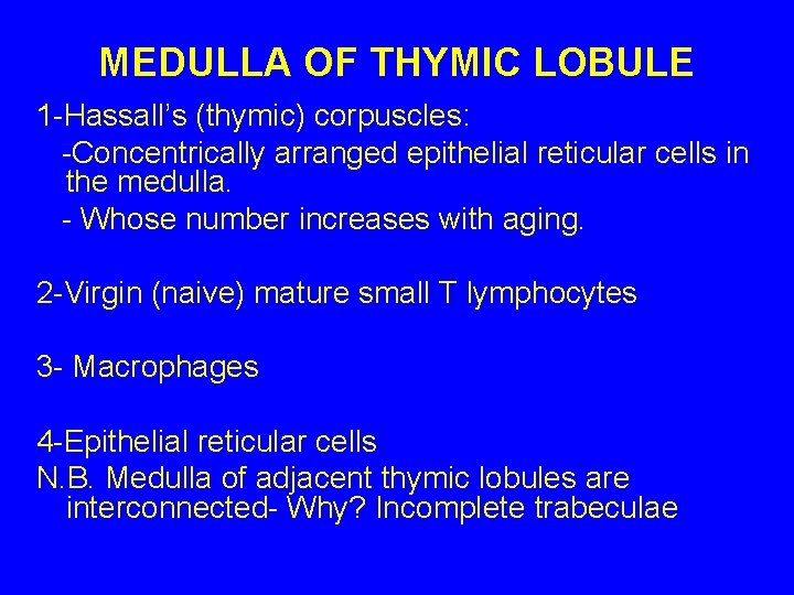 MEDULLA OF THYMIC LOBULE 1 -Hassall’s (thymic) corpuscles: -Concentrically arranged epithelial reticular cells in