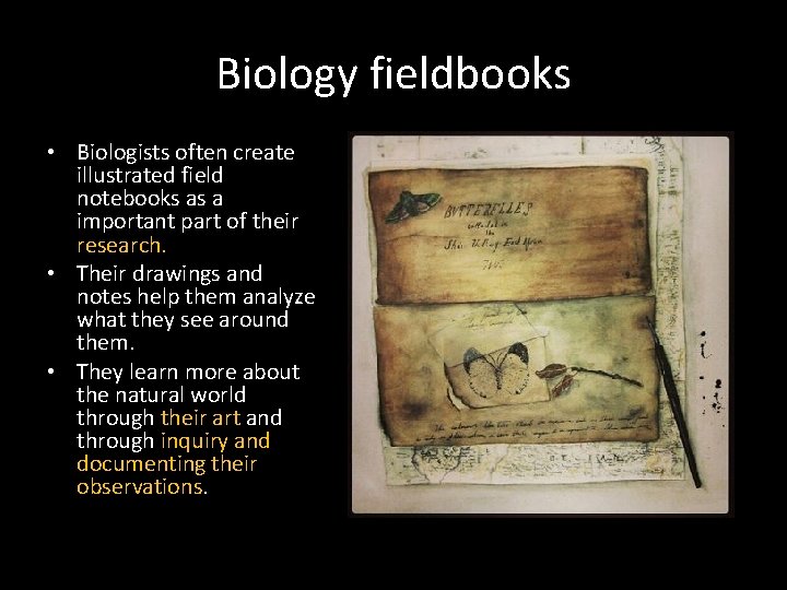 Biology fieldbooks • Biologists often create illustrated field notebooks as a important part of