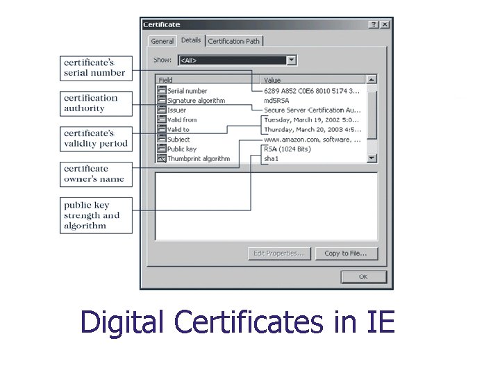 Digital Certificates in IE 