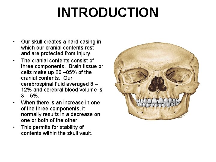 INTRODUCTION • • Our skull creates a hard casing in which our cranial contents