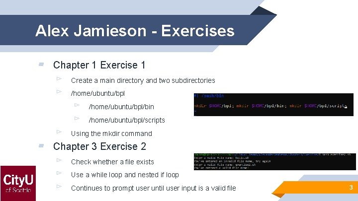 Alex Jamieson - Exercises ▰ Chapter 1 Exercise 1 ▻ Create a main directory