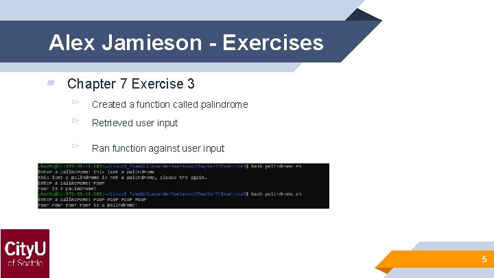 Alex Jamieson - Exercises ▰ Chapter 7 Exercise 3 ▻ Created a function called