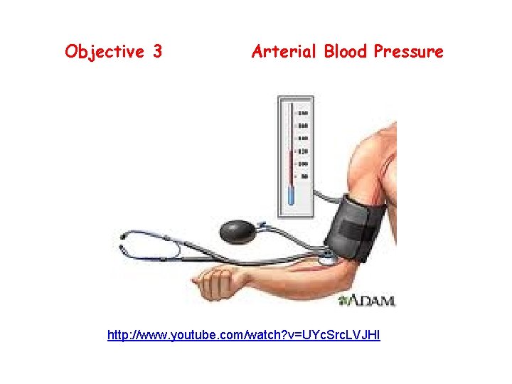 Objective 3 Arterial Blood Pressure http: //www. youtube. com/watch? v=UYc. Src. LVJHI 