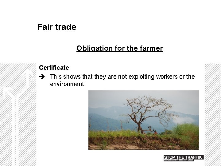 Fair trade Obligation for the farmer Certificate: This shows that they are not exploiting