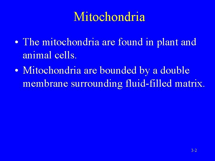 Mitochondria • The mitochondria are found in plant and animal cells. • Mitochondria are