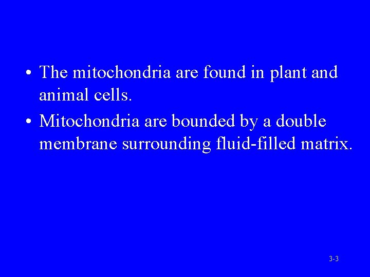  • The mitochondria are found in plant and animal cells. • Mitochondria are