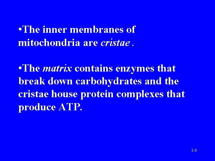  • The inner membranes of mitochondria are cristae. • The matrix contains enzymes