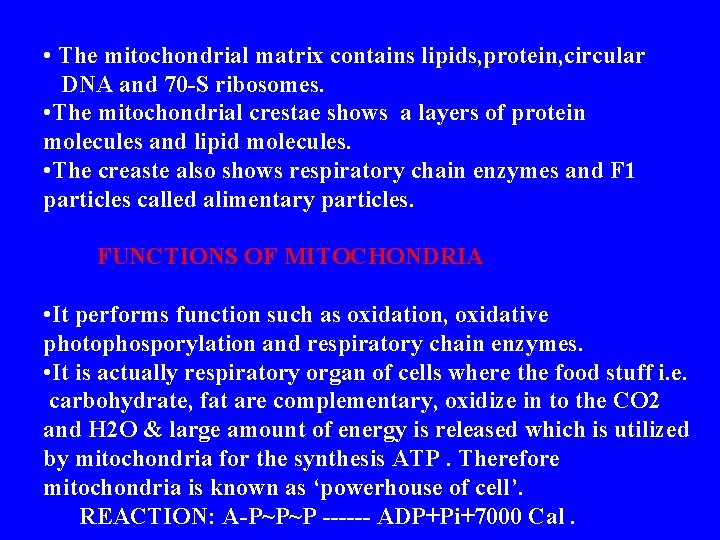  • The mitochondrial matrix contains lipids, protein, circular DNA and 70 -S ribosomes.