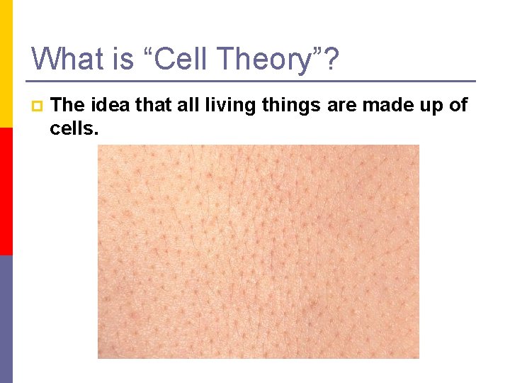 What is “Cell Theory”? p The idea that all living things are made up
