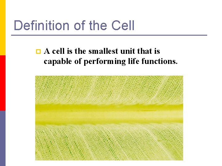 Definition of the Cell p A cell is the smallest unit that is capable