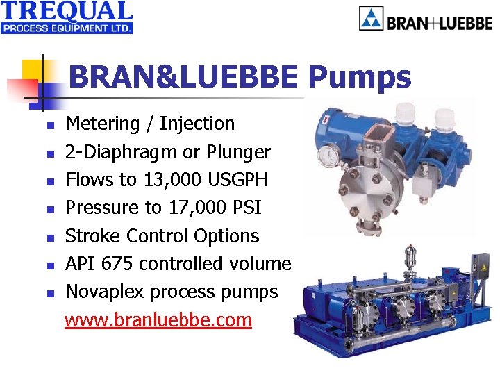 BRAN&LUEBBE Pumps n n n n Metering / Injection 2 -Diaphragm or Plunger Flows