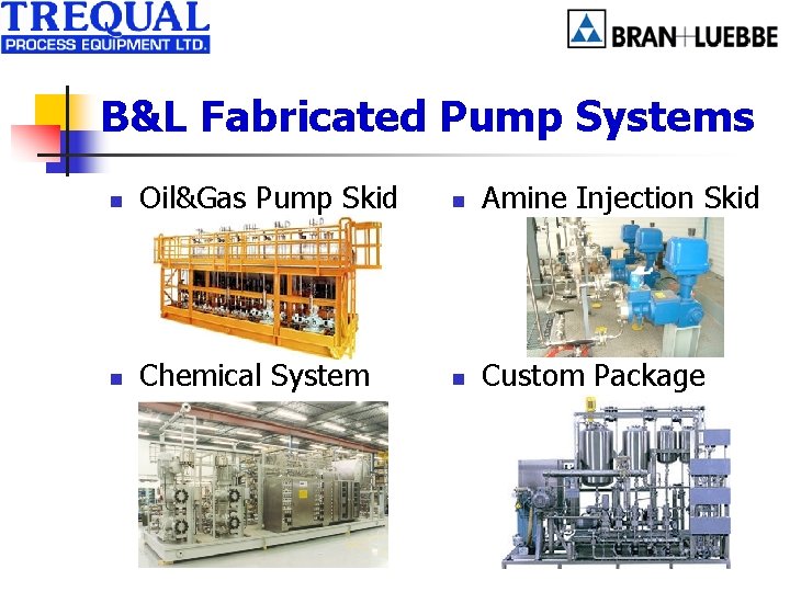 B&L Fabricated Pump Systems n Oil&Gas Pump Skid n Amine Injection Skid n Chemical