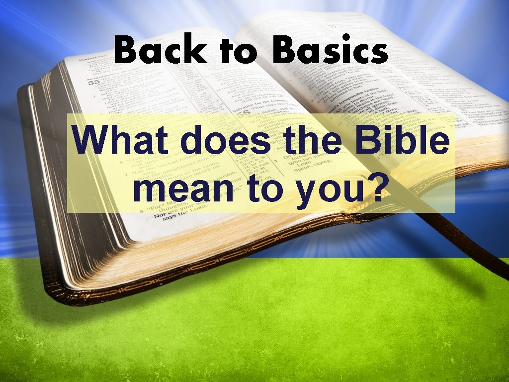 Back to Basics What does the Bible mean to you? 
