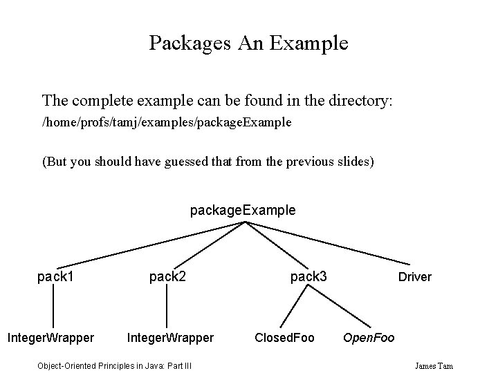 Packages An Example The complete example can be found in the directory: /home/profs/tamj/examples/package. Example