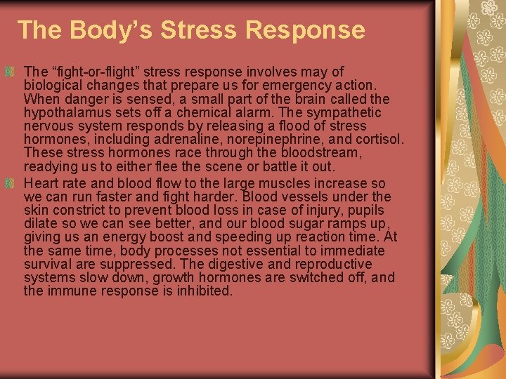 The Body’s Stress Response The “fight-or-flight” stress response involves may of biological changes that