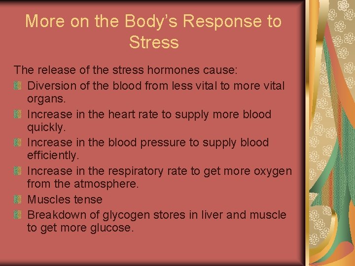 More on the Body’s Response to Stress The release of the stress hormones cause: