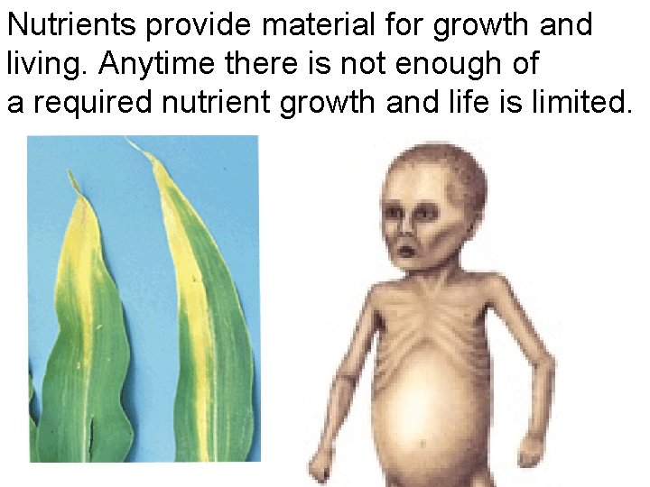 Nutrients provide material for growth and living. Anytime there is not enough of a