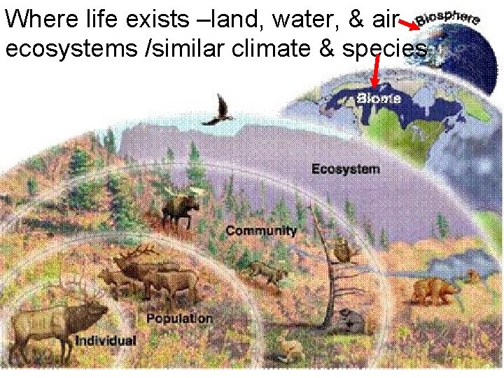 Where life exists –land, water, & air ecosystems /similar climate & species 