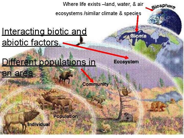 Where life exists –land, water, & air ecosystems /similar climate & species Interacting biotic