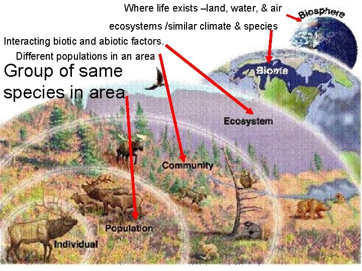Where life exists –land, water, & air ecosystems /similar climate & species Interacting biotic