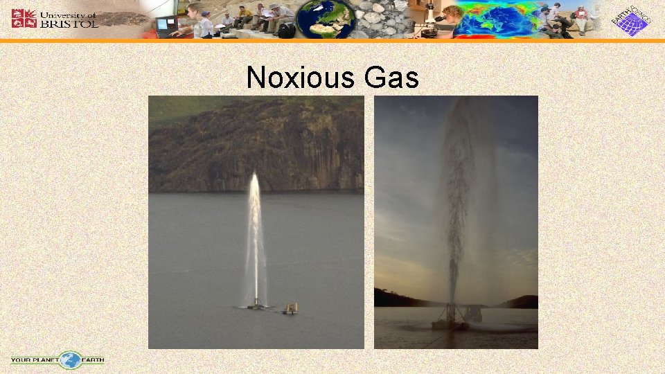 Noxious Gas Noxious Gas