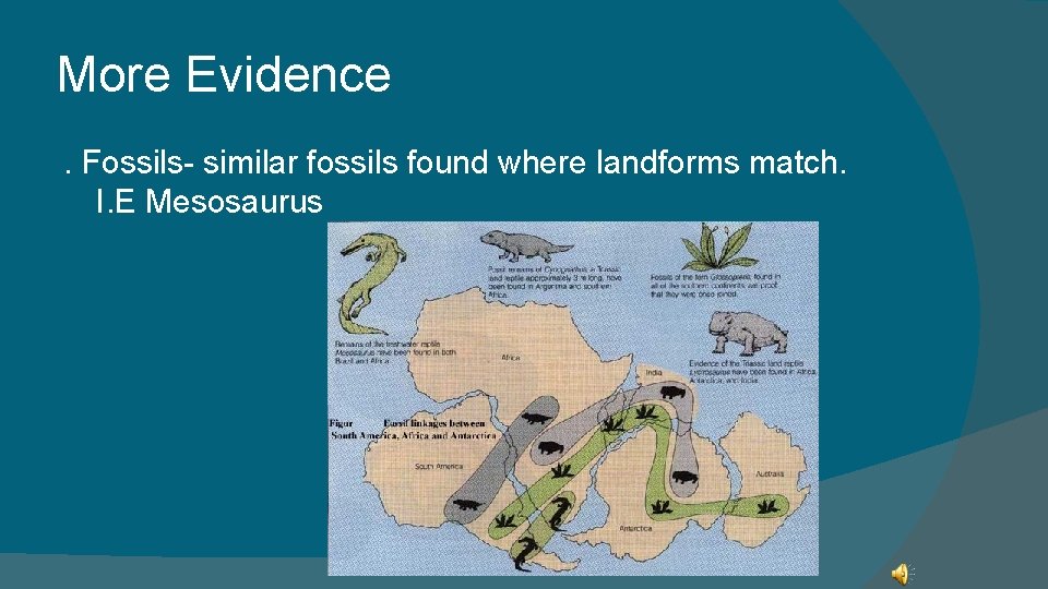 More Evidence. Fossils- similar fossils found where landforms match. I. E Mesosaurus 