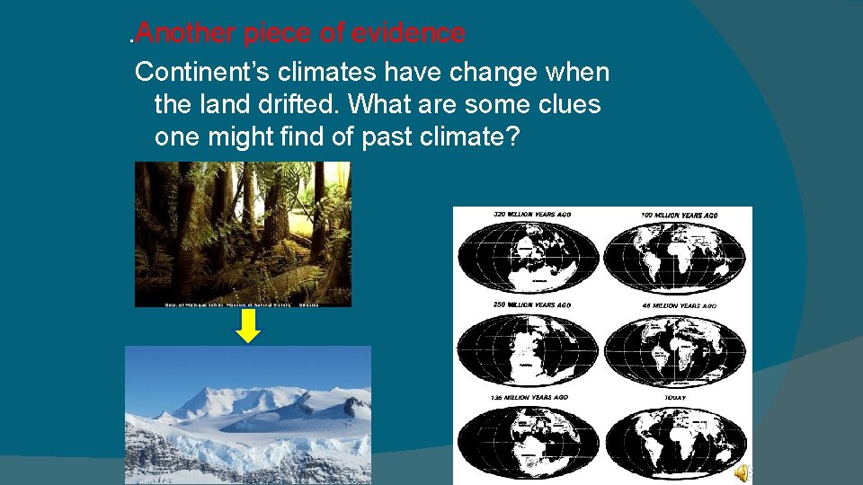 . Another piece of evidence Continent’s climates have change when the land drifted. What