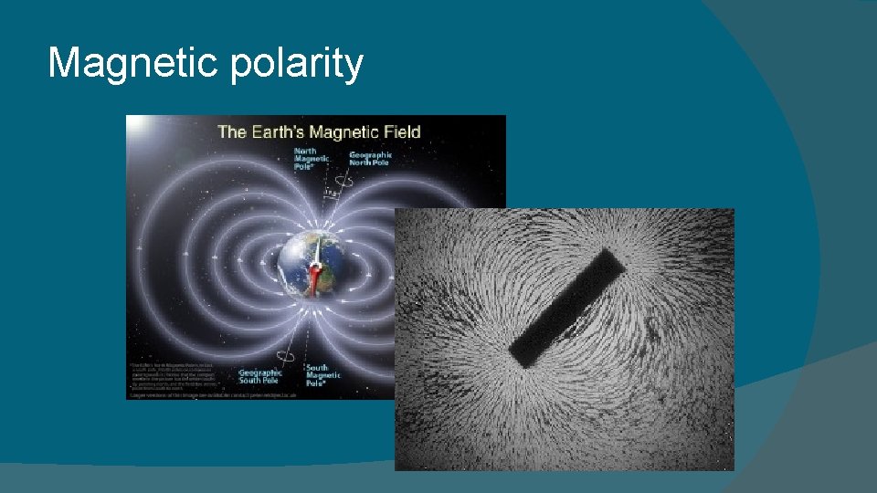 Magnetic polarity 