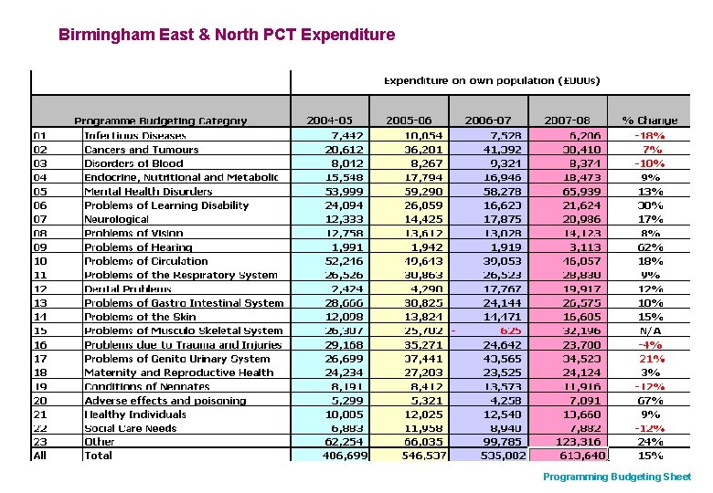 Birmingham East & North PCT Expenditure Programming Budgeting Sheet 