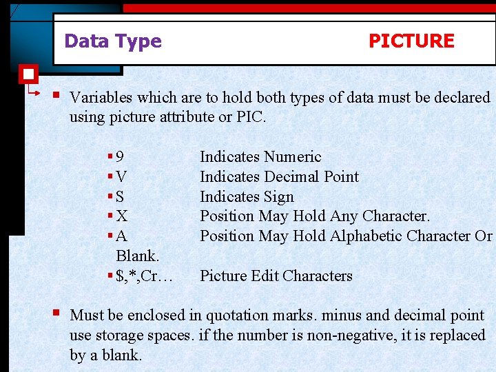 Data Type § § PICTURE Variables which are to hold both types of data