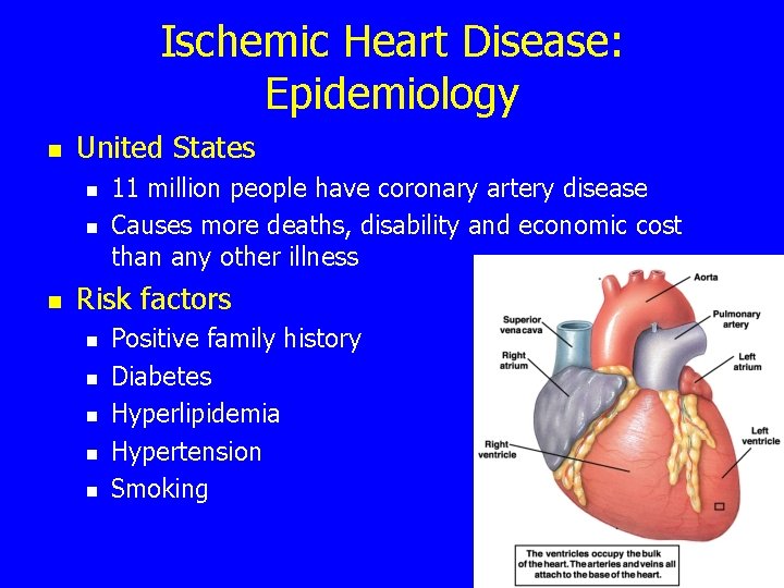 Ischemic Heart Disease: Epidemiology n United States n n n 11 million people have