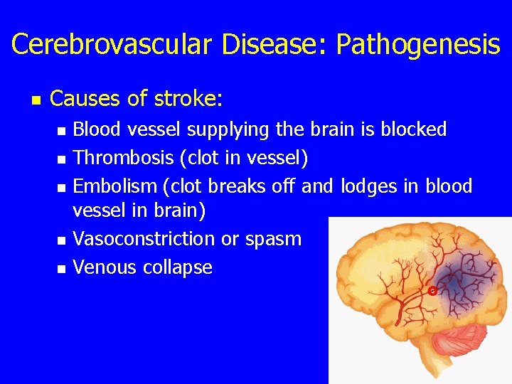 Cerebrovascular Disease: Pathogenesis n Causes of stroke: n n n Blood vessel supplying the