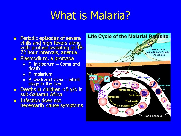 What is Malaria? n n Periodic episodes of severe chills and high fevers along