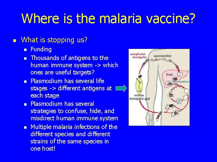 Where is the malaria vaccine? n What is stopping us? n n n Funding