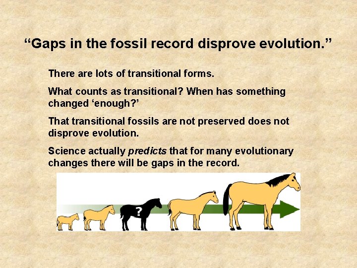 “Gaps in the fossil record disprove evolution. ” There are lots of transitional forms.