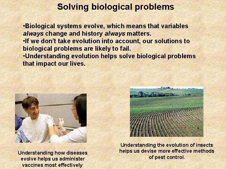 Solving biological problems • Biological systems evolve, which means that variables always change and