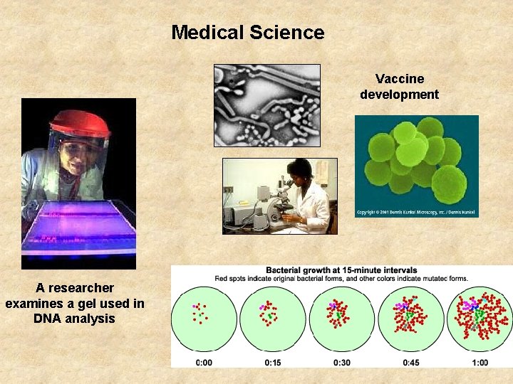 Medical Science Vaccine development A researcher examines a gel used in DNA analysis 
