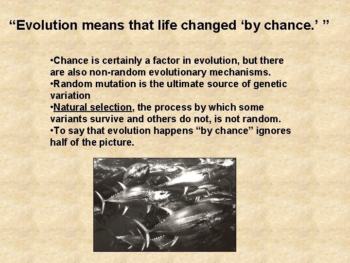 “Evolution means that life changed ‘by chance. ’ ” • Chance is certainly a