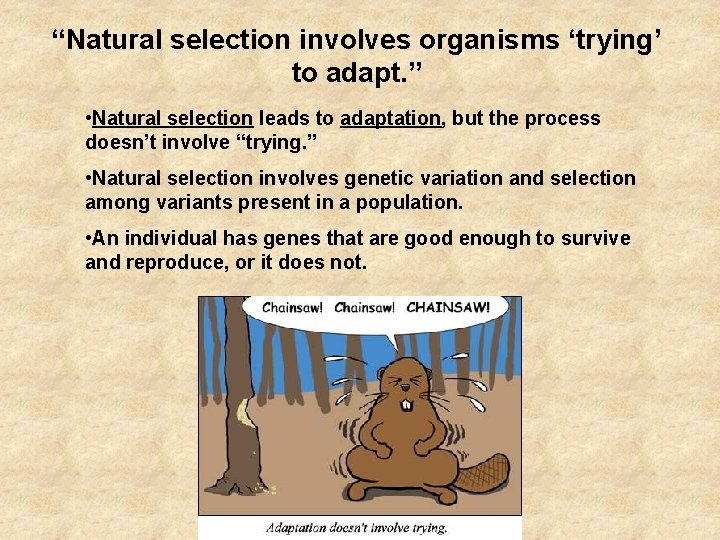 “Natural selection involves organisms ‘trying’ to adapt. ” • Natural selection leads to adaptation,