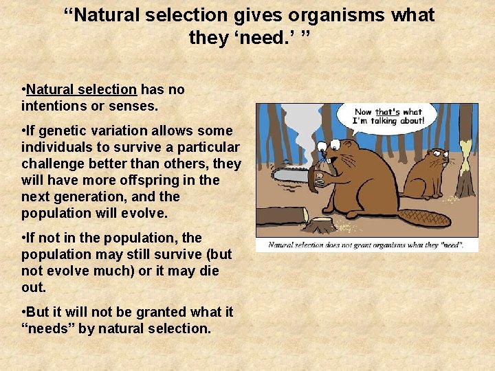 “Natural selection gives organisms what they ‘need. ’ ” • Natural selection has no