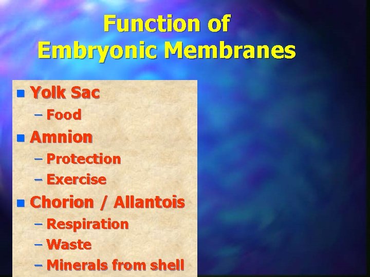 Function of Embryonic Membranes n Yolk Sac – Food n Amnion – Protection –