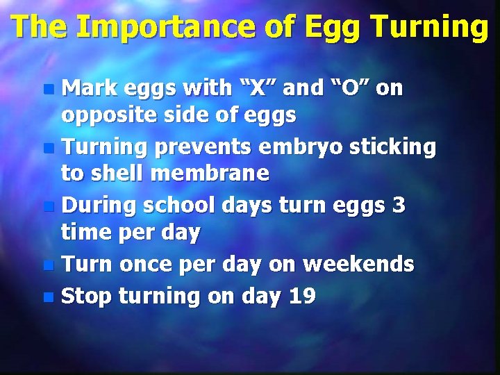 The Importance of Egg Turning Mark eggs with “X” and “O” on opposite side