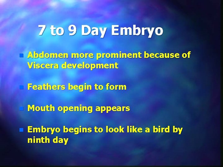 7 to 9 Day Embryo n Abdomen more prominent because of Viscera development n