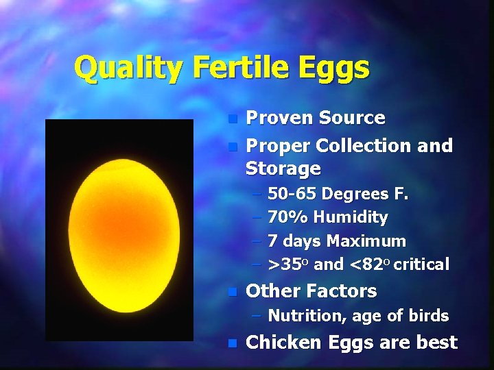 Quality Fertile Eggs n n Proven Source Proper Collection and Storage – – n