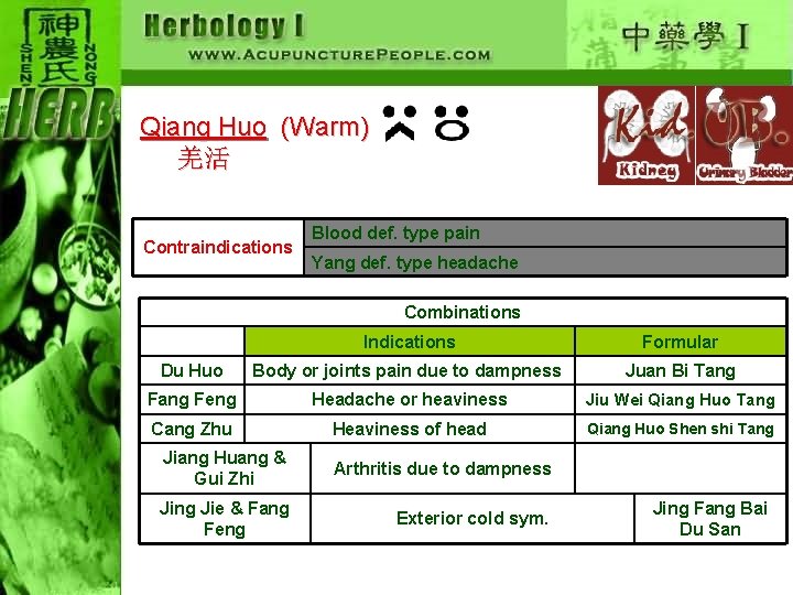 Qiang Huo (Warm) 羌活 Contraindications Blood def. type pain Yang def. type headache Combinations