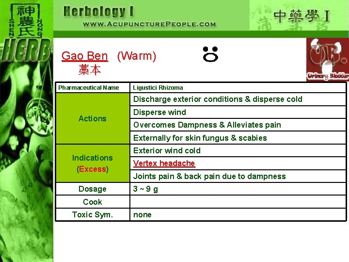 Gao Ben (Warm) 藁本 Pharmaceutical Name Ligustici Rhizoma Discharge exterior conditions & disperse cold