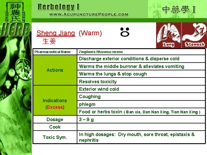 Sheng Jiang (Warm) 生姜 Pharmaceutical Name Zingiberis Rhizoma recens Discharge exterior conditions & disperse