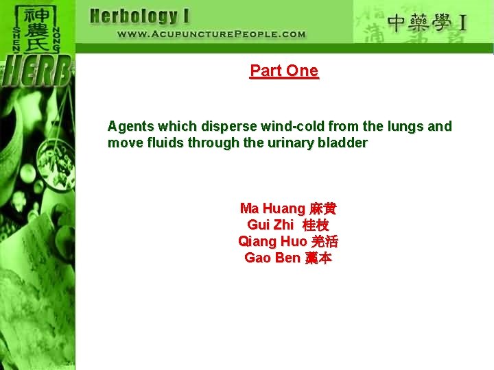 Part One Agents which disperse wind-cold from the lungs and move fluids through the