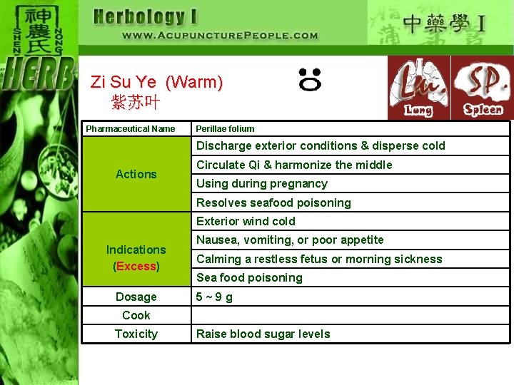 Zi Su Ye (Warm) 紫苏叶 Pharmaceutical Name Perillae folium Discharge exterior conditions & disperse