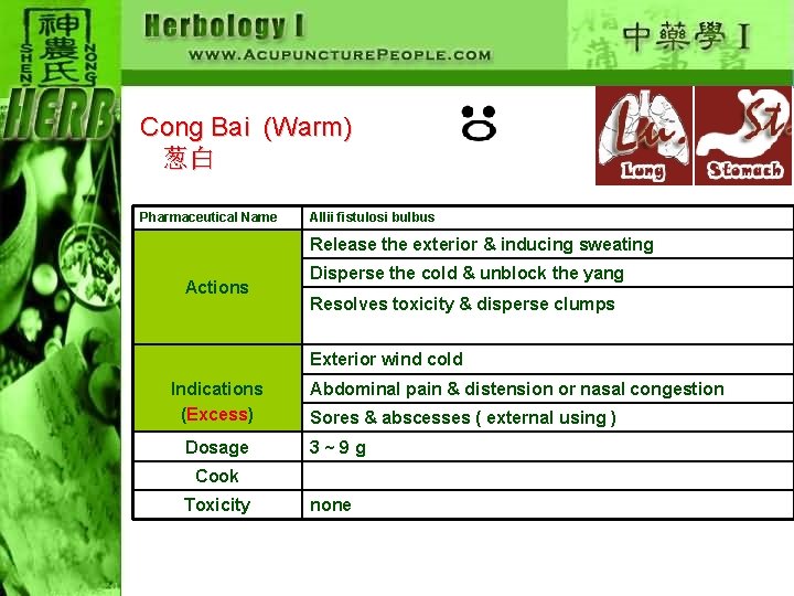 Cong Bai (Warm) 葱白 Pharmaceutical Name Allii fistulosi bulbus Release the exterior & inducing